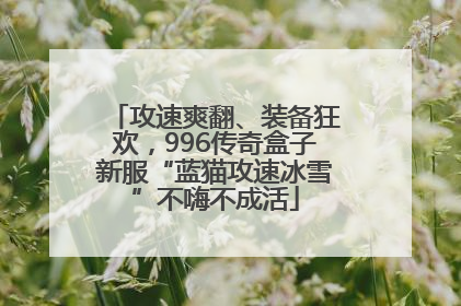 攻速爽翻、装备狂欢，996传奇盒子新服“蓝猫攻速冰雪”不嗨不成活