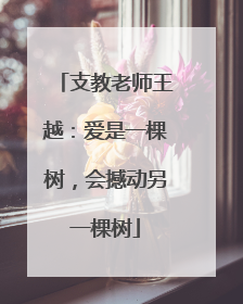 支教老师王越：爱是一棵树，会撼动另一棵树