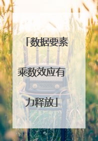 数据要素乘数效应有力释放