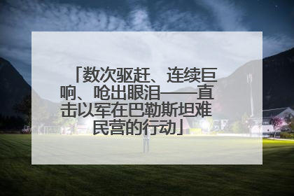 数次驱赶、连续巨响、呛出眼泪——直击以军在巴勒斯坦难民营的行动