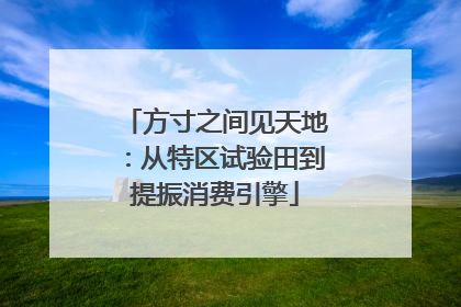方寸之间见天地：从特区试验田到提振消费引擎