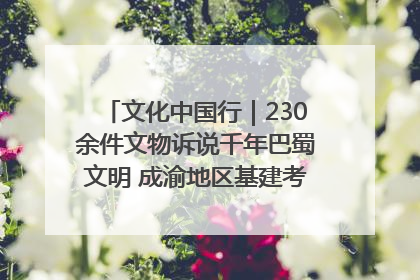 文化中国行｜230余件文物诉说千年巴蜀文明 成渝地区基建考古成果展开展