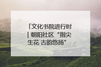 文化书院进行时｜朝阳社区“指尖生花 古韵悠扬”公益课堂开课了
