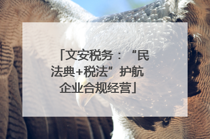 文安税务：“民法典+税法”护航企业合规经营