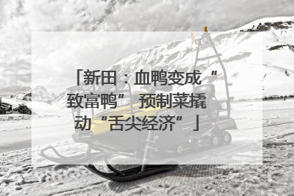 新田：血鸭变成“致富鸭” 预制菜撬动“舌尖经济”