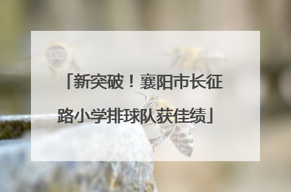 新突破！襄阳市长征路小学排球队获佳绩