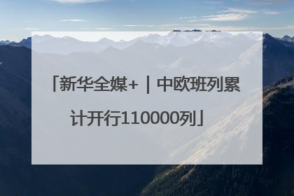 新华全媒+｜中欧班列累计开行110000列