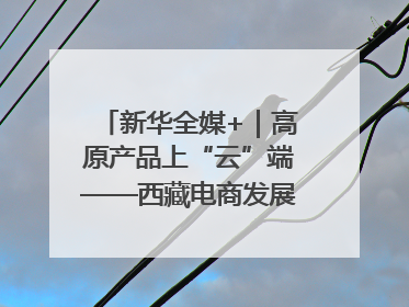 新华全媒+｜高原产品上“云”端——西藏电商发展一线观察