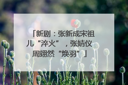 新剧：张新成宋祖儿“淬火”，张婧仪周翊然“焕羽”