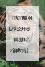 新加坡羽毛球公开赛：国羽1金2银收官