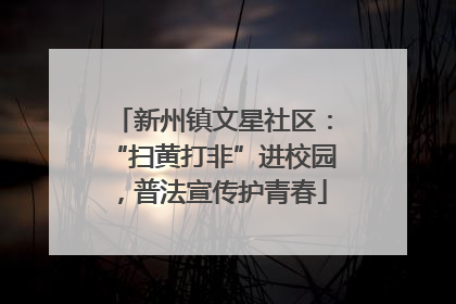 新州镇文星社区：“扫黄打非”进校园，普法宣传护青春