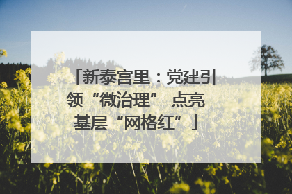 新泰宫里：党建引领“微治理” 点亮基层“网格红”