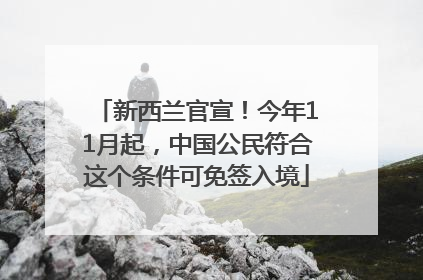新西兰官宣！今年11月起，中国公民符合这个条件可免签入境