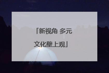 新视角 多元文化壁上观