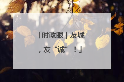 时政眼｜友城，友“诚”！