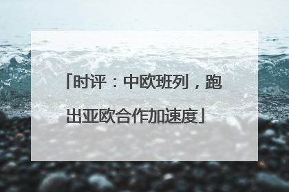 时评：中欧班列，跑出亚欧合作加速度