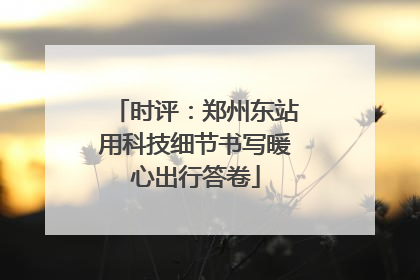 时评：郑州东站用科技细节书写暖心出行答卷