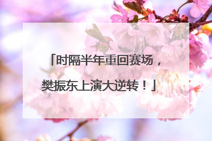 时隔半年重回赛场，樊振东上演大逆转！