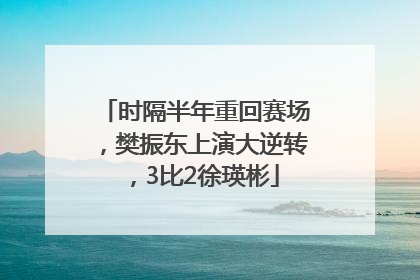 时隔半年重回赛场，樊振东上演大逆转，3比2徐瑛彬