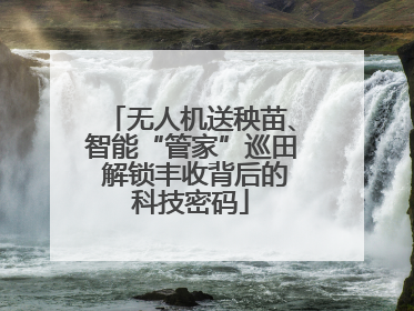 无人机送秧苗、智能“管家”巡田 解锁丰收背后的科技密码