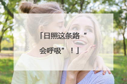 日照这条路“会呼吸”！