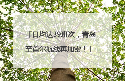 日均达39班次，青岛至首尔航线再加密！