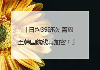 日均39班次 青岛至韩国航线再加密！
