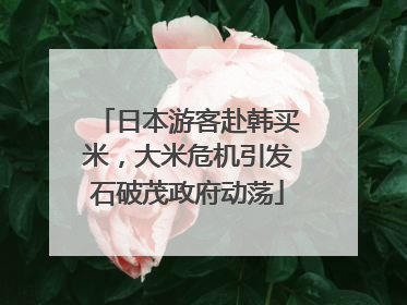 日本游客赴韩买米，大米危机引发石破茂政府动荡