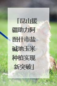 昆山援疆助力阿图什市盐碱地玉米种植实现新突破