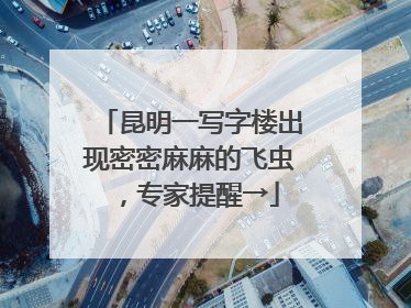 昆明一写字楼出现密密麻麻的飞虫，专家提醒→
