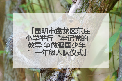 昆明市盘龙区东庄小学举行“牢记党的教导 争做强国少年”一年级入队仪式