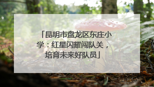 昆明市盘龙区东庄小学：红星闪耀闯队关，培育未来好队员