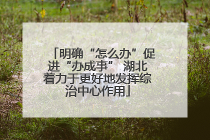 明确“怎么办”促进“办成事” 湖北着力于更好地发挥综治中心作用