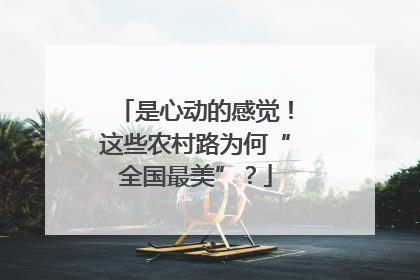 是心动的感觉！这些农村路为何“全国最美”？