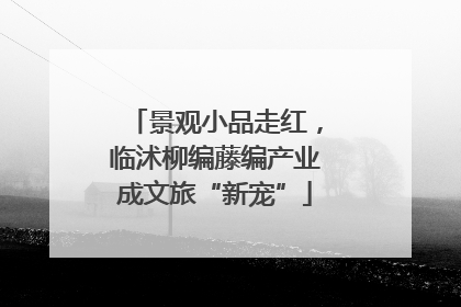 景观小品走红，临沭柳编藤编产业成文旅“新宠”