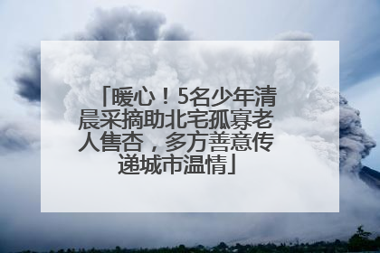 暖心！5名少年清晨采摘助北宅孤寡老人售杏，多方善意传递城市温情