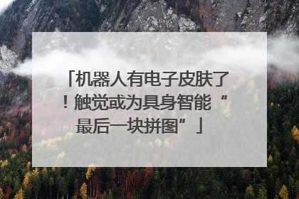 机器人有电子皮肤了！触觉或为具身智能“最后一块拼图”