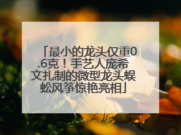 最小的龙头仅重0.6克！手艺人庞希文扎制的微型龙头蜈蚣风筝惊艳亮相
