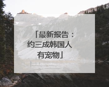 最新报告：约三成韩国人有宠物