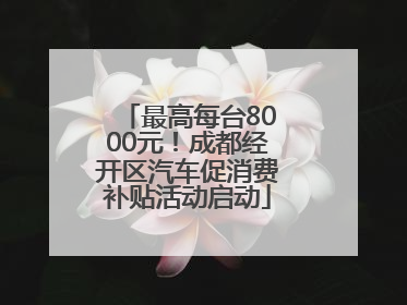 最高每台8000元！成都经开区汽车促消费补贴活动启动