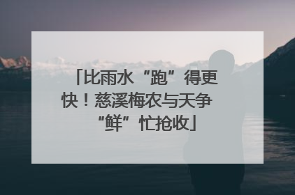 比雨水“跑”得更快！慈溪梅农与天争“鲜”忙抢收