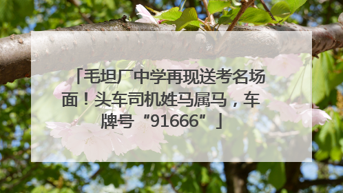 毛坦厂中学再现送考名场面！头车司机姓马属马，车牌号“91666”