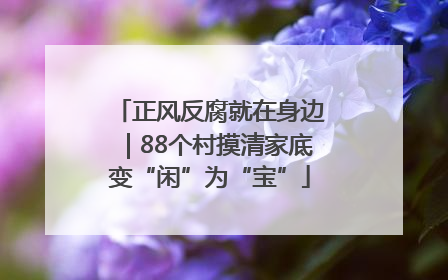 正风反腐就在身边｜88个村摸清家底变“闲”为“宝”