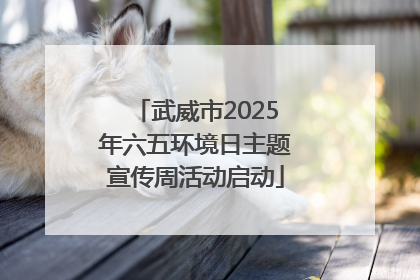 武威市2025年六五环境日主题宣传周活动启动