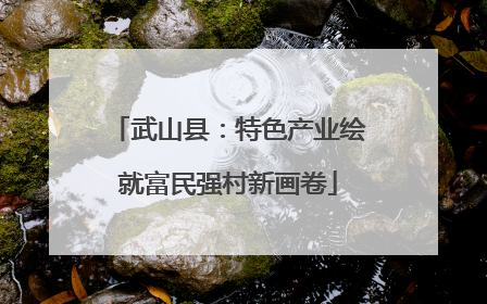 武山县：特色产业绘就富民强村新画卷