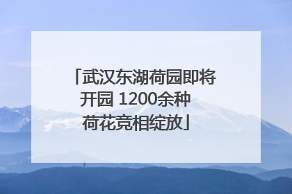 武汉东湖荷园即将开园 1200余种荷花竞相绽放
