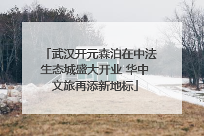 武汉开元森泊在中法生态城盛大开业 华中文旅再添新地标
