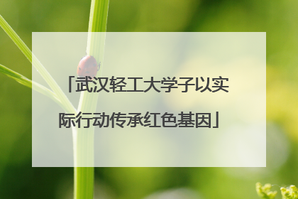 武汉轻工大学子以实际行动传承红色基因