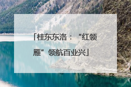 桂东东洛：“红领雁”领航百业兴