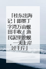 桂东出海记丨即墨丁字湾万亩蚬田丰收！渔民泥里挖蚬，一天上岸过千斤